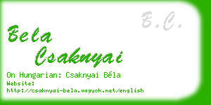 bela csaknyai business card